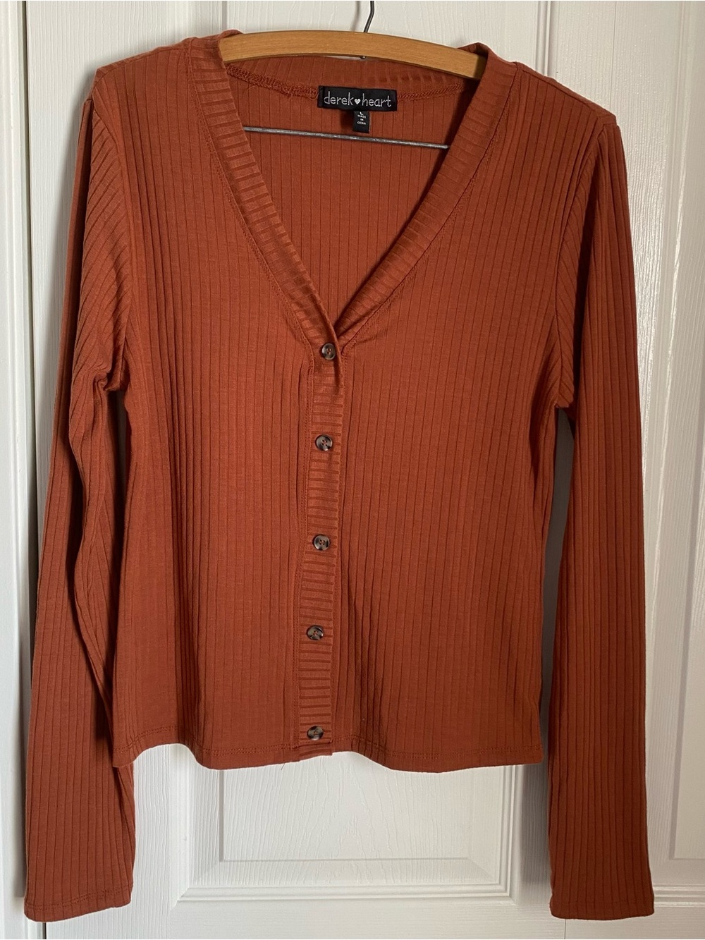 Derek Heart Ribbed Knit V-Neck Long Sleeve Top Rust Orange L Fall Indie Earthy